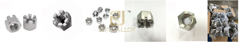 Metric DIN 935 Hexagon NUts Metric DIN 935 Kacang Hexagon