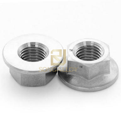 GB/T6177.1 Stainless Steel Hexagon Flange Nuts-style2